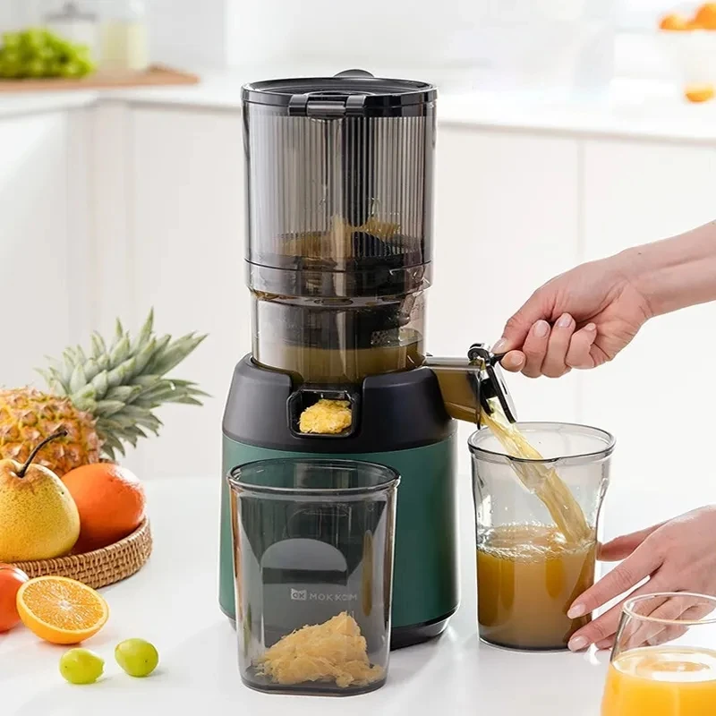 Electric Juicers